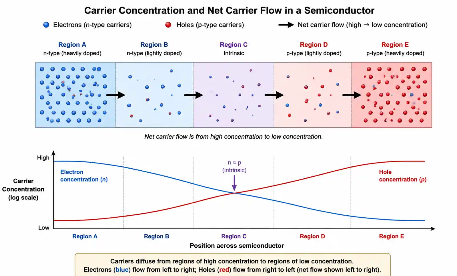 concentration-gradient-diffusion-process