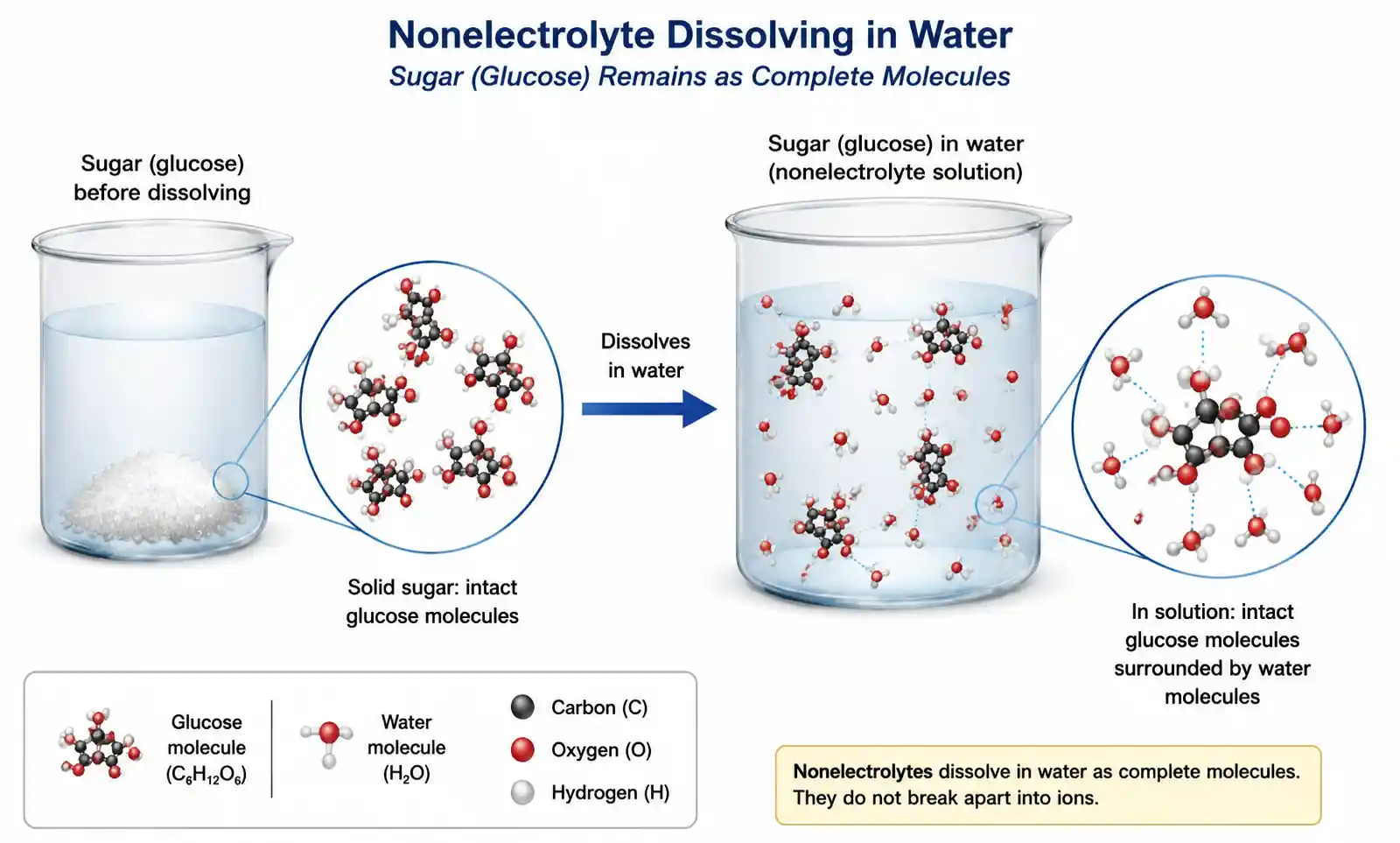 nonelectrolyte-molecules-solution