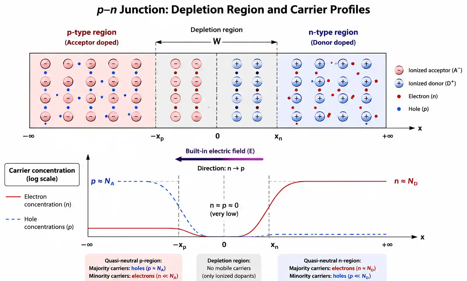 pn-junction-depletion-region-formation